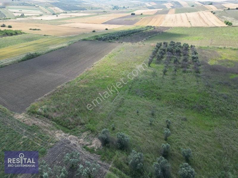 Karacabey Sultaniye 3.875 M2 Müstakil Tapulu Tarla — fotoğraf 6