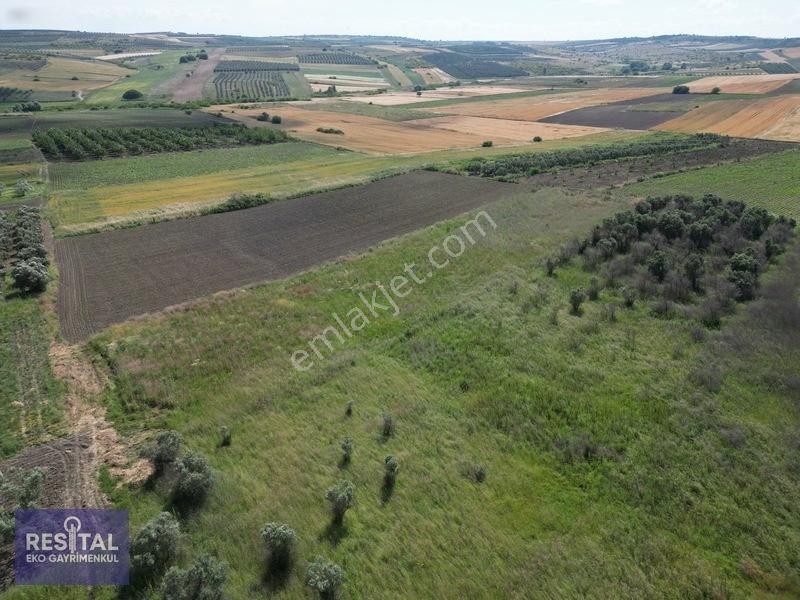 Karacabey Sultaniye 3.875 M2 Müstakil Tapulu Tarla — fotoğraf 7
