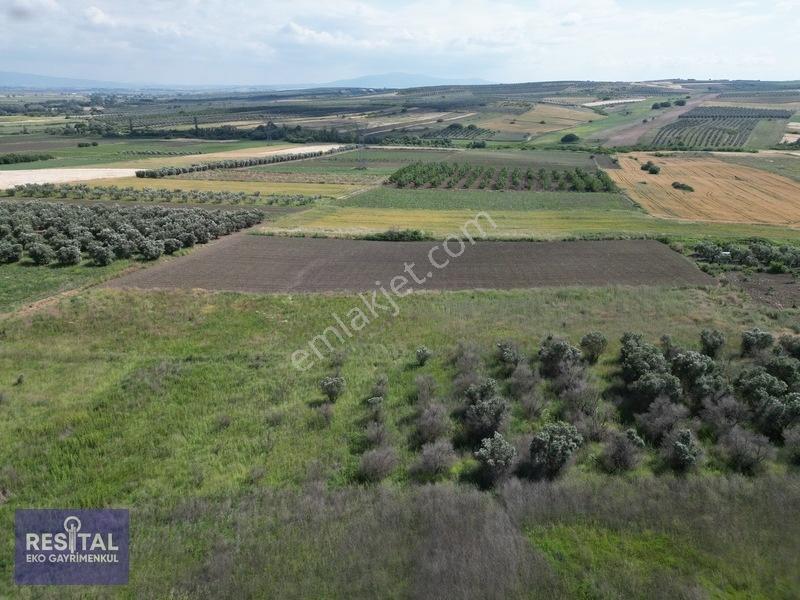 Karacabey Sultaniye 3.875 M2 Müstakil Tapulu Tarla — fotoğraf 9