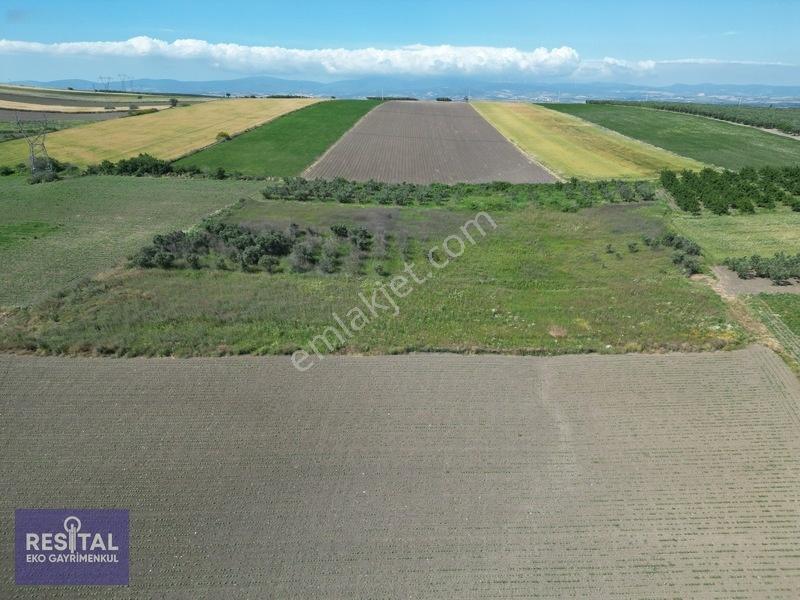 Karacabey Sultaniye 3.875 M2 Müstakil Tapulu Tarla — fotoğraf 10