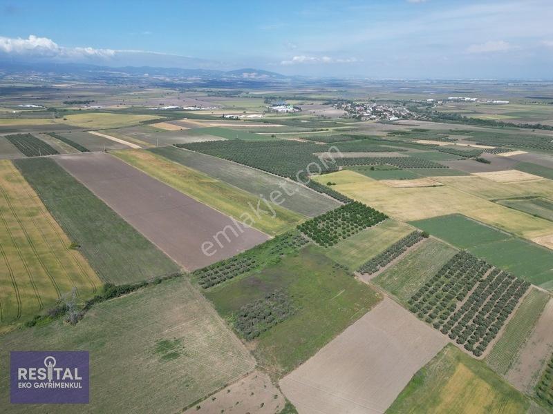 Karacabey Sultaniye 3.875 M2 Müstakil Tapulu Tarla — fotoğraf 12