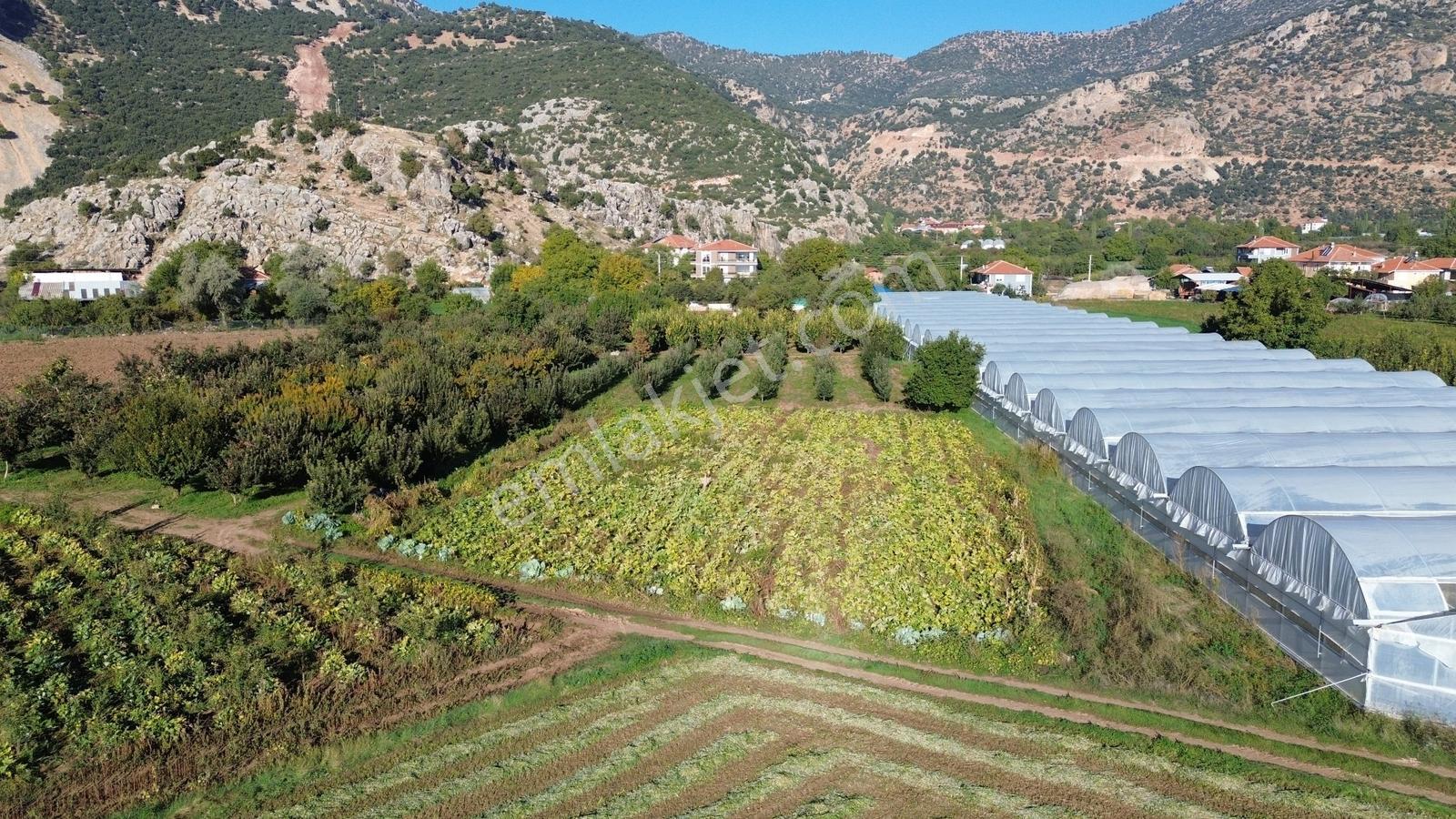 Vip Gayrimenkul'den Yuva Mah. Yol Cepheli 1.489m² Tarla — fotoğraf 8
