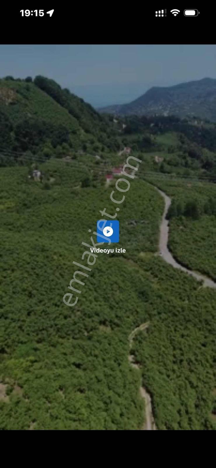 Gokdemir Gayrimenkul'den Erikli Köyü'nde Satılık Fındık Bahçesi — fotoğraf 15