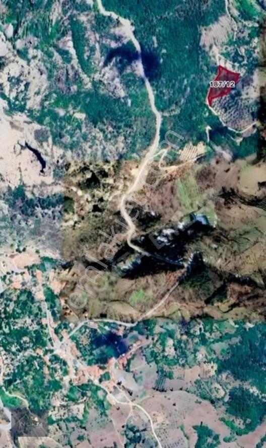 Balıkesir'de Satılık Tam Hisse Bahçe — fotoğraf 3