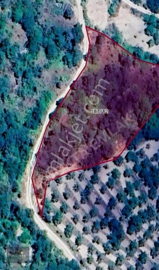 Balıkesir'de Satılık Tam Hisse Bahçe — fotoğraf 4