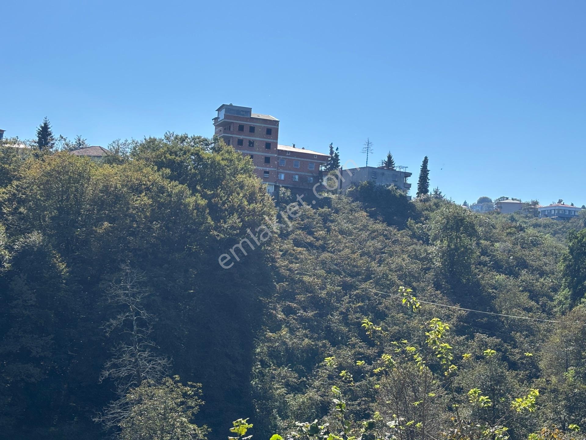Trabzon Havaalanına 4 Km Mesafede Satılık Fındık Bahçesi — fotoğraf 22