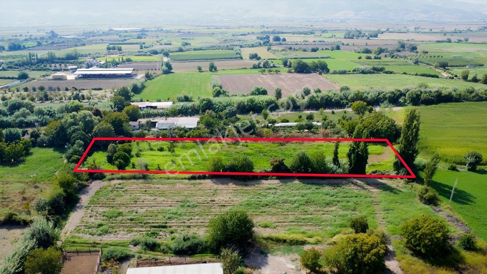 Aydın Efeler Umurluda 5.000 M² Meyve Bahçesi Ve Hobi Bahçesi