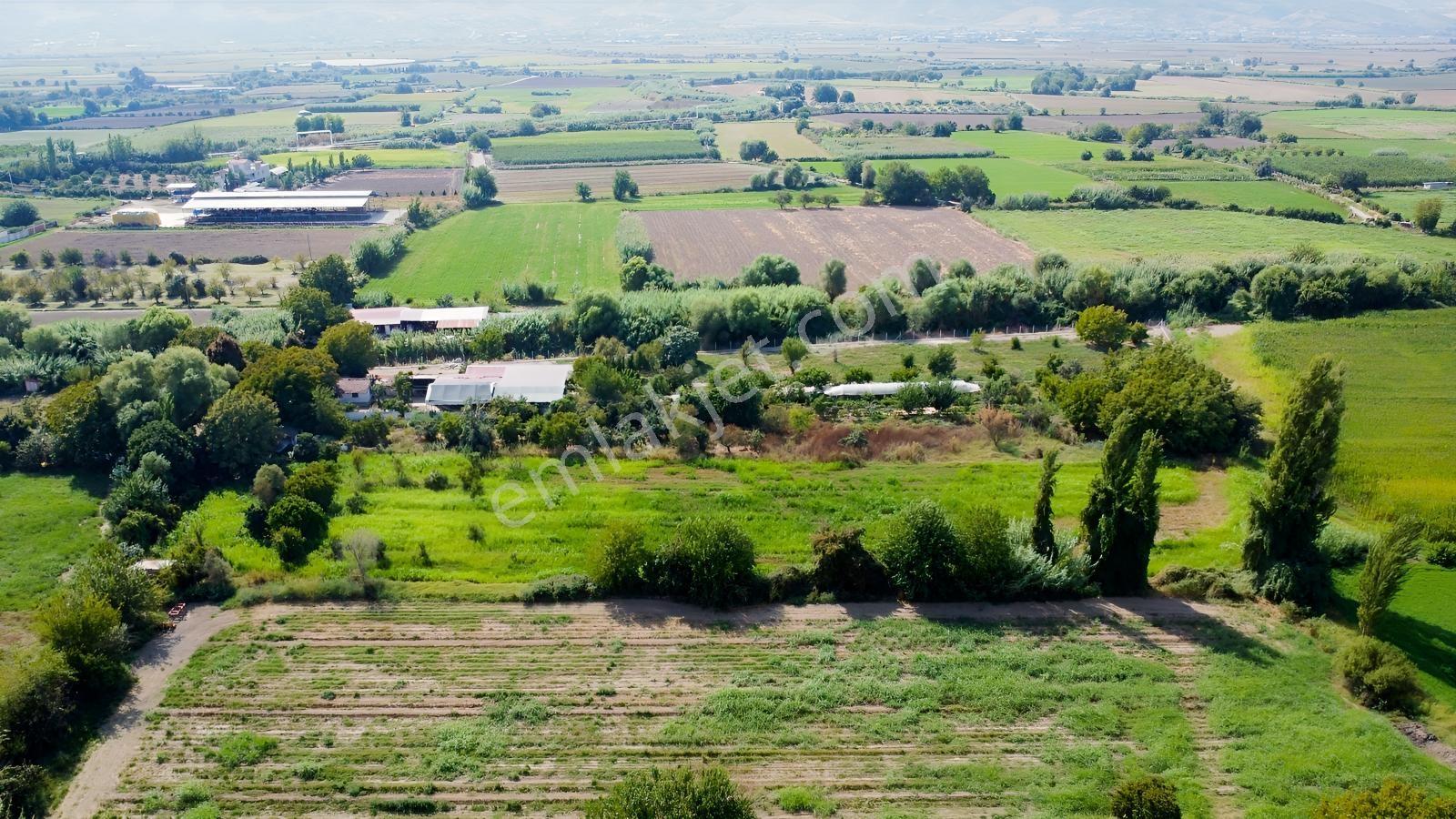 Aydın Efeler Umurluda 5.000 M² Meyve Bahçesi Ve Hobi Bahçesi — fotoğraf 2