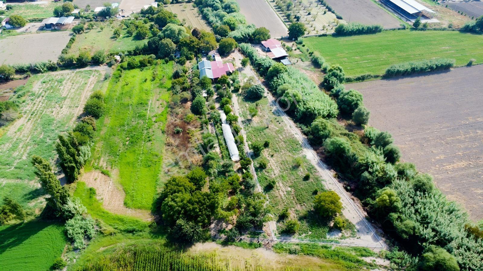 Aydın Efeler Umurluda 5.000 M² Meyve Bahçesi Ve Hobi Bahçesi — fotoğraf 10