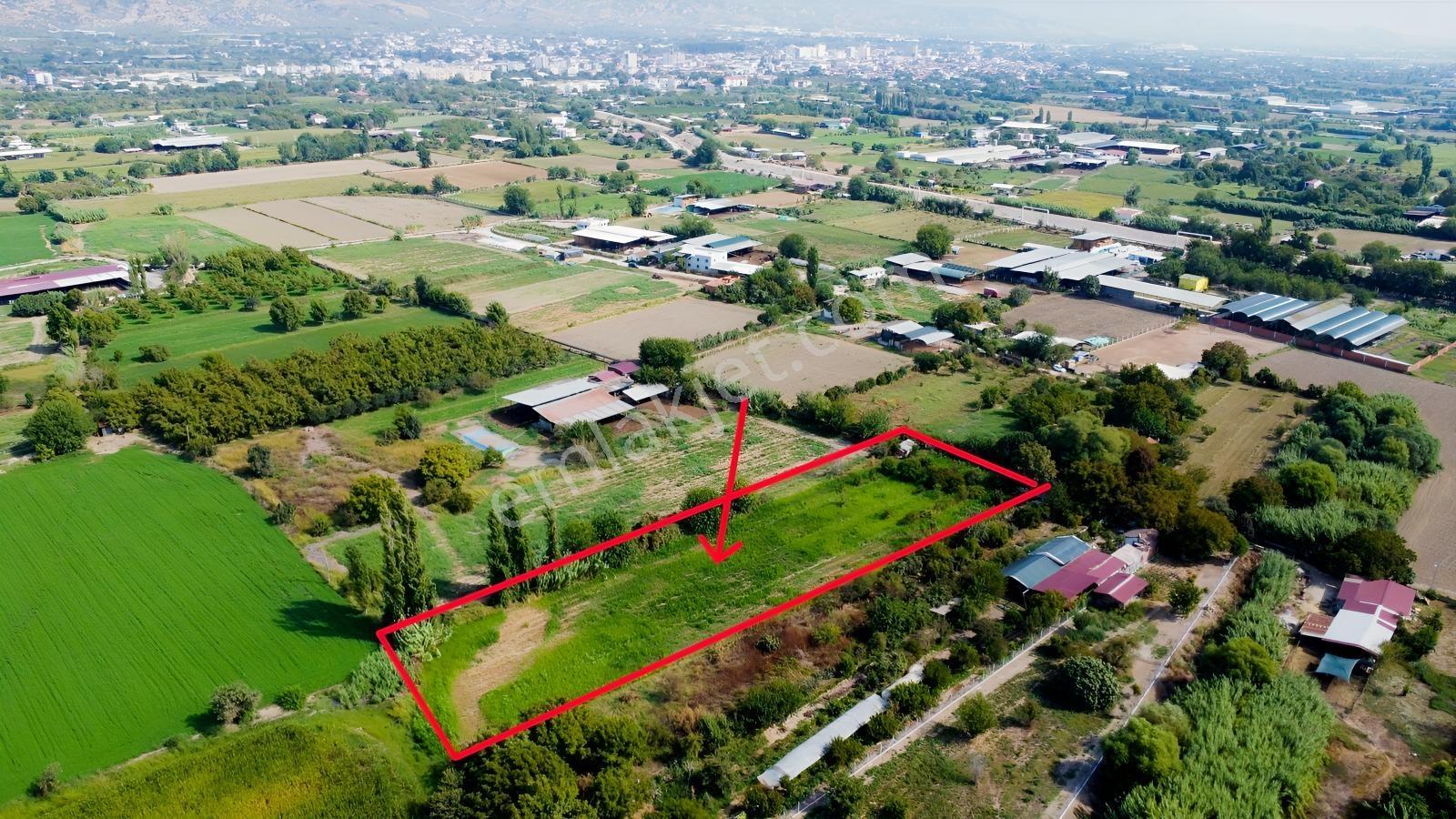 Aydın Efeler Umurluda 5.000 M² Meyve Bahçesi Ve Hobi Bahçesi — fotoğraf 11