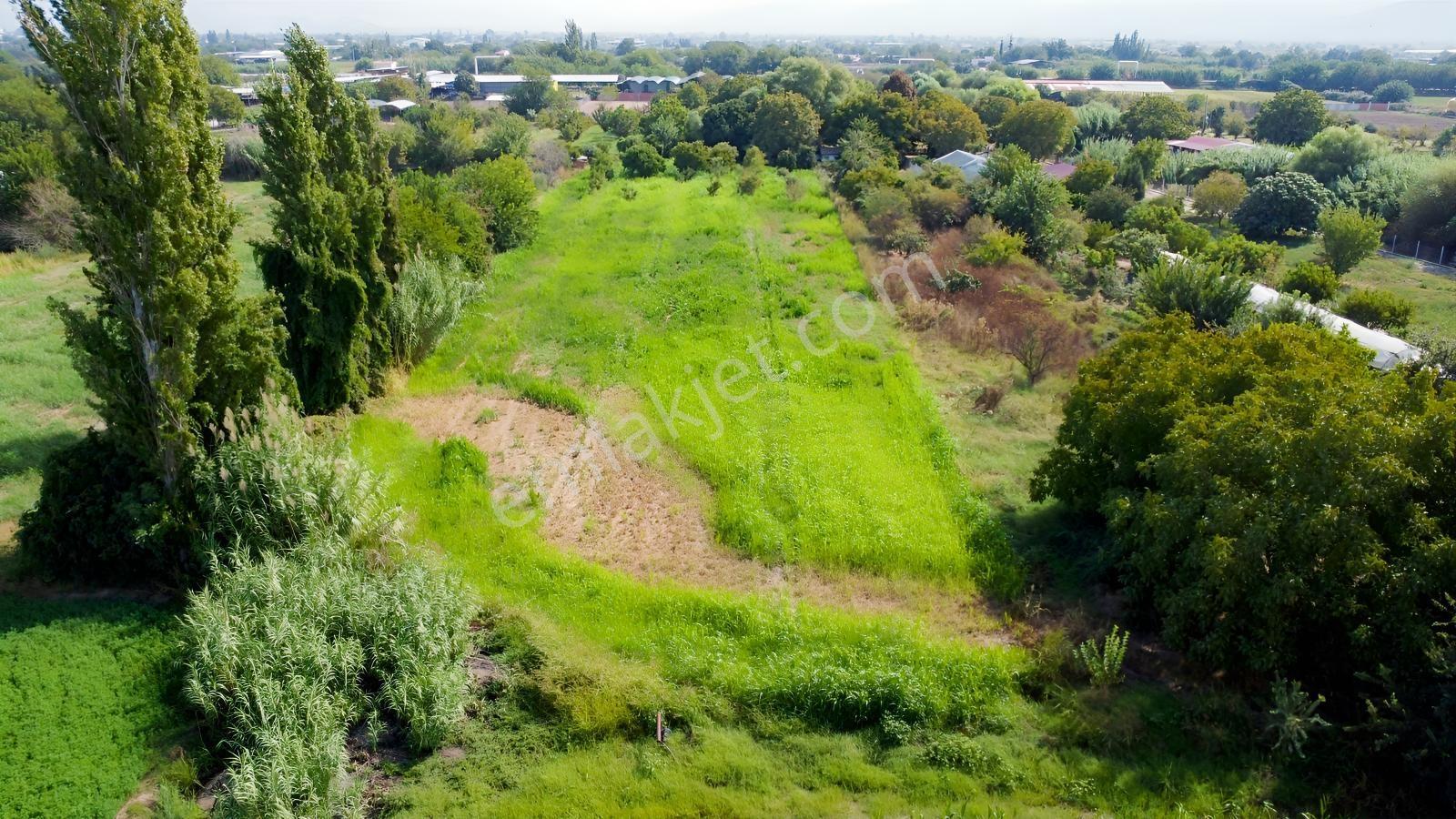 Aydın Efeler Umurluda 5.000 M² Meyve Bahçesi Ve Hobi Bahçesi — fotoğraf 12