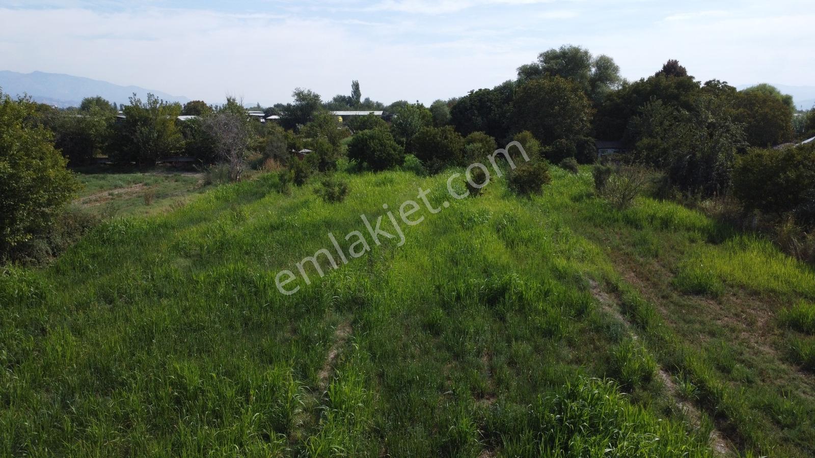 Aydın Efeler Umurluda 5.000 M² Meyve Bahçesi Ve Hobi Bahçesi — fotoğraf 15