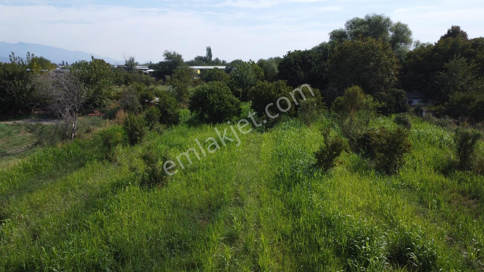 Aydın Efeler Umurluda 5.000 M² Meyve Bahçesi Ve Hobi Bahçesi — fotoğraf 16