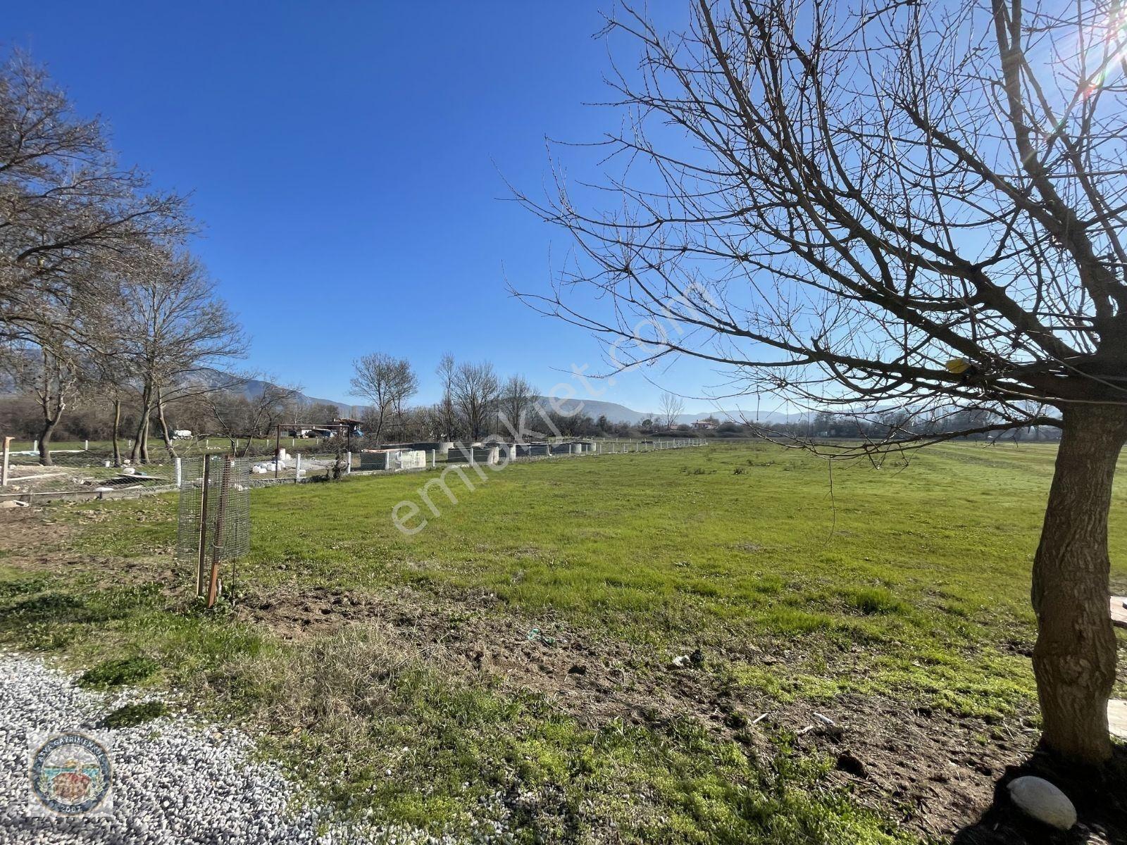 Muğla Karabağlar Yaylasında Satılık Yurt — fotoğraf 2