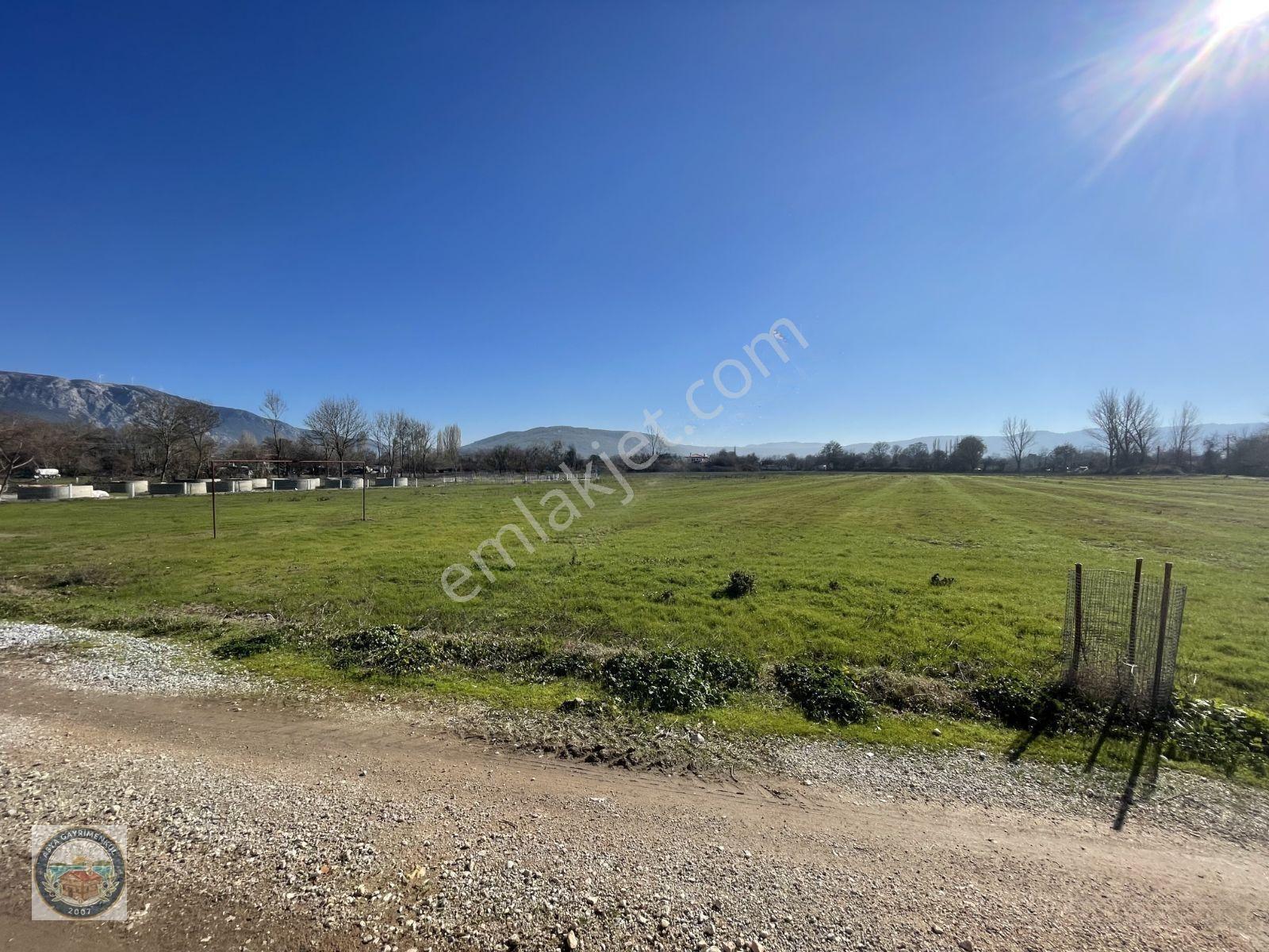Muğla Karabağlar Yaylasında Satılık Yurt — fotoğraf 5