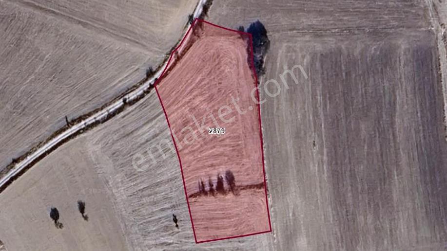Özpınar,dan Çavuş Köyü Satlık Suyu Ve Yolu Olan Tarla 4225 M2 Anayola 500 Metre — fotoğraf 2