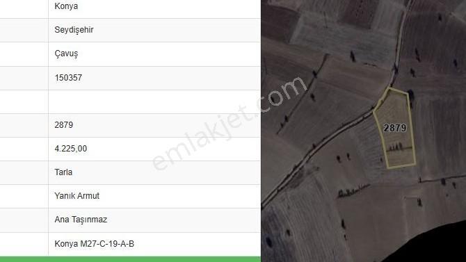 Özpınar,dan Çavuş Köyü Satlık Suyu Ve Yolu Olan Tarla 4225 M2 Anayola 500 Metre — fotoğraf 4