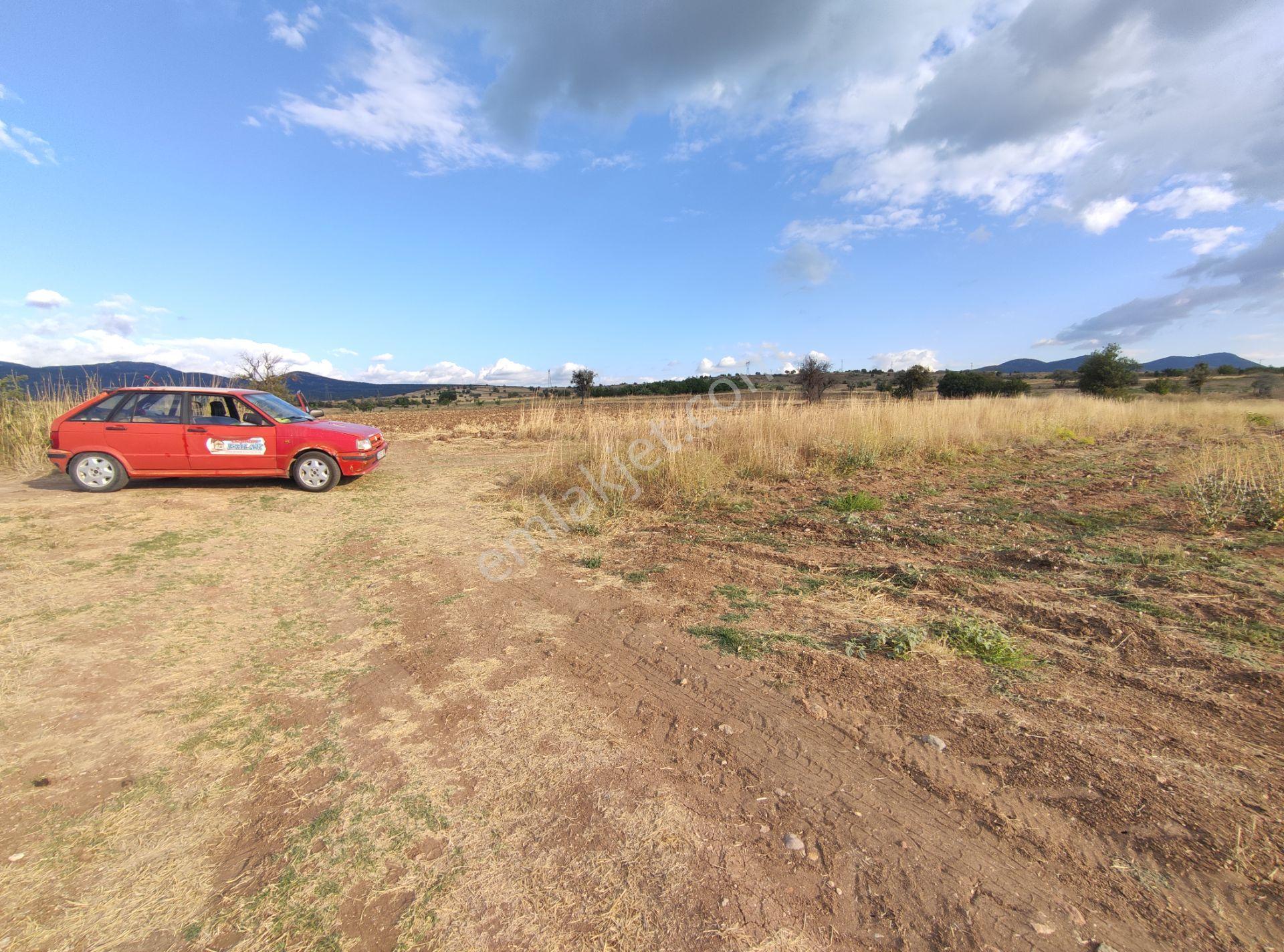 Özpınar,dan Çavuş Köyü Satlık Suyu Ve Yolu Olan Tarla 4225 M2 Anayola 500 Metre — fotoğraf 10