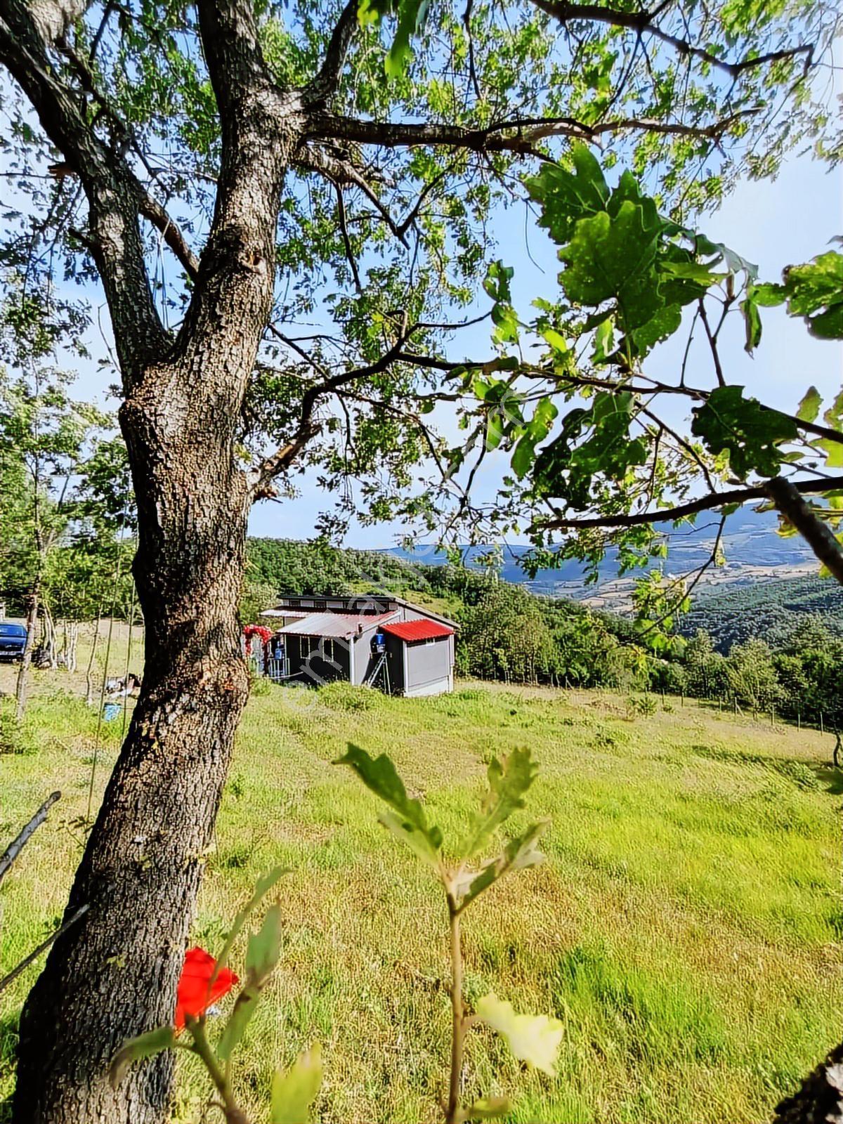 Atakuma 20 Dk | Kocadağ Eteğinde | Doğa İçinde | 4+1 Müstakil — fotoğraf 10