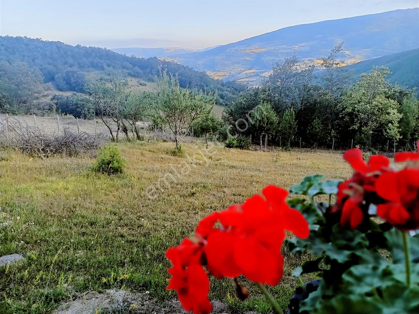 Atakuma 20 Dk | Kocadağ Eteğinde | Doğa İçinde | 4+1 Müstakil — fotoğraf 13