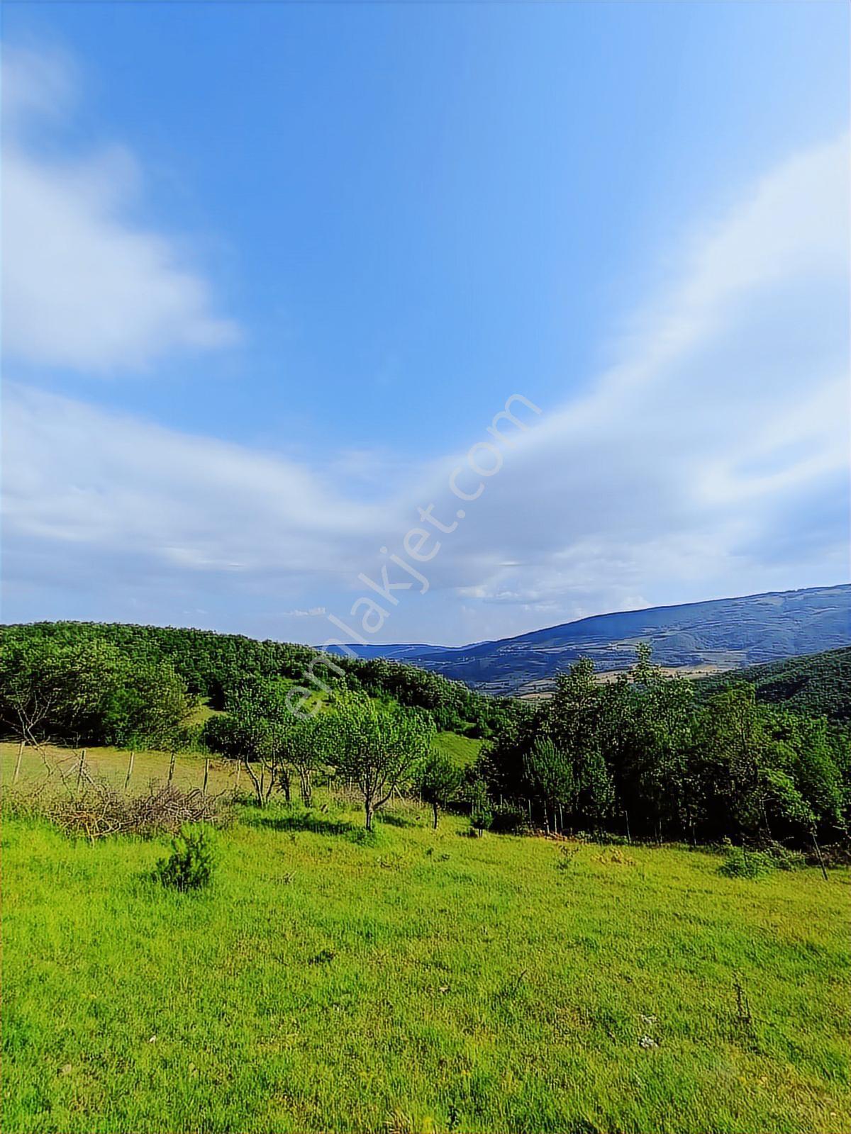 Atakuma 20 Dk | Kocadağ Eteğinde | Doğa İçinde | 4+1 Müstakil — fotoğraf 20