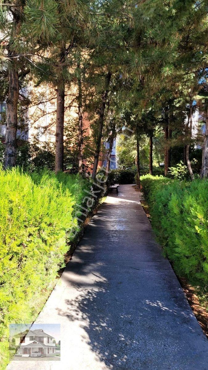Genç Emlaktan Örnek Mahallesinde Site İçi Meclis Bloklarında Satılık 3+1 Daire — fotoğraf 3