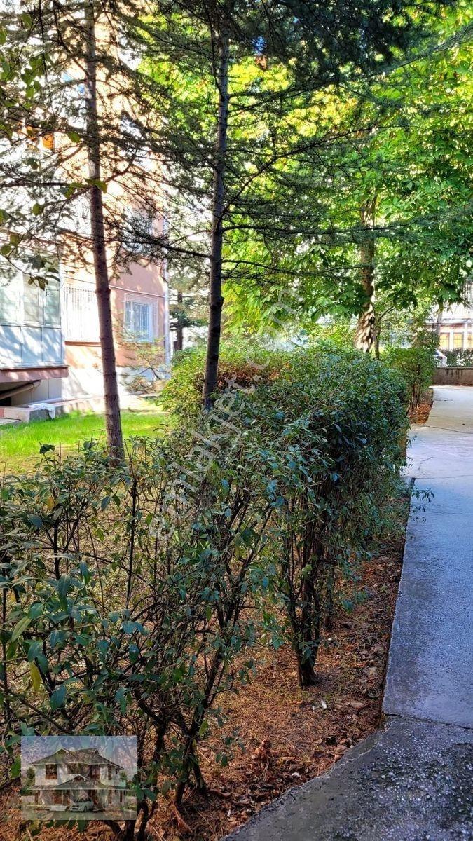 Genç Emlaktan Örnek Mahallesinde Site İçi Meclis Bloklarında Satılık 3+1 Daire — fotoğraf 5