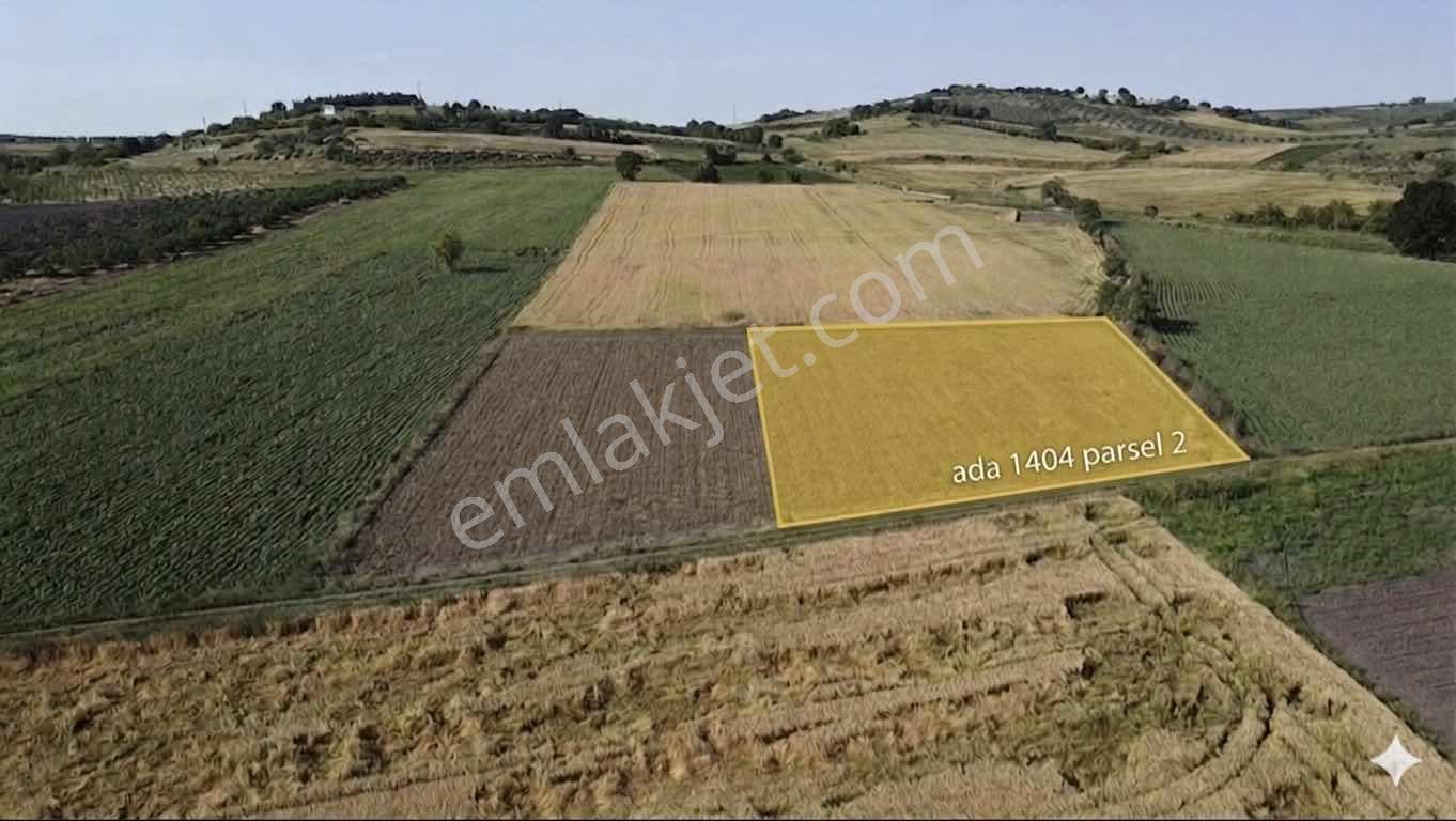 Bursa Mustafakemalpaşa Aliseydi Köyünde 2.678 M² Tarla