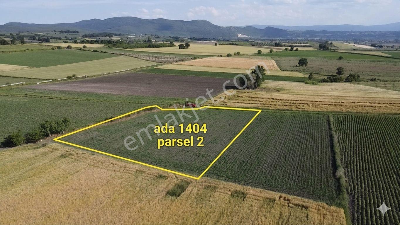 Bursa Mustafakemalpaşa Aliseydi Köyünde 2.678 M² Tarla — fotoğraf 2