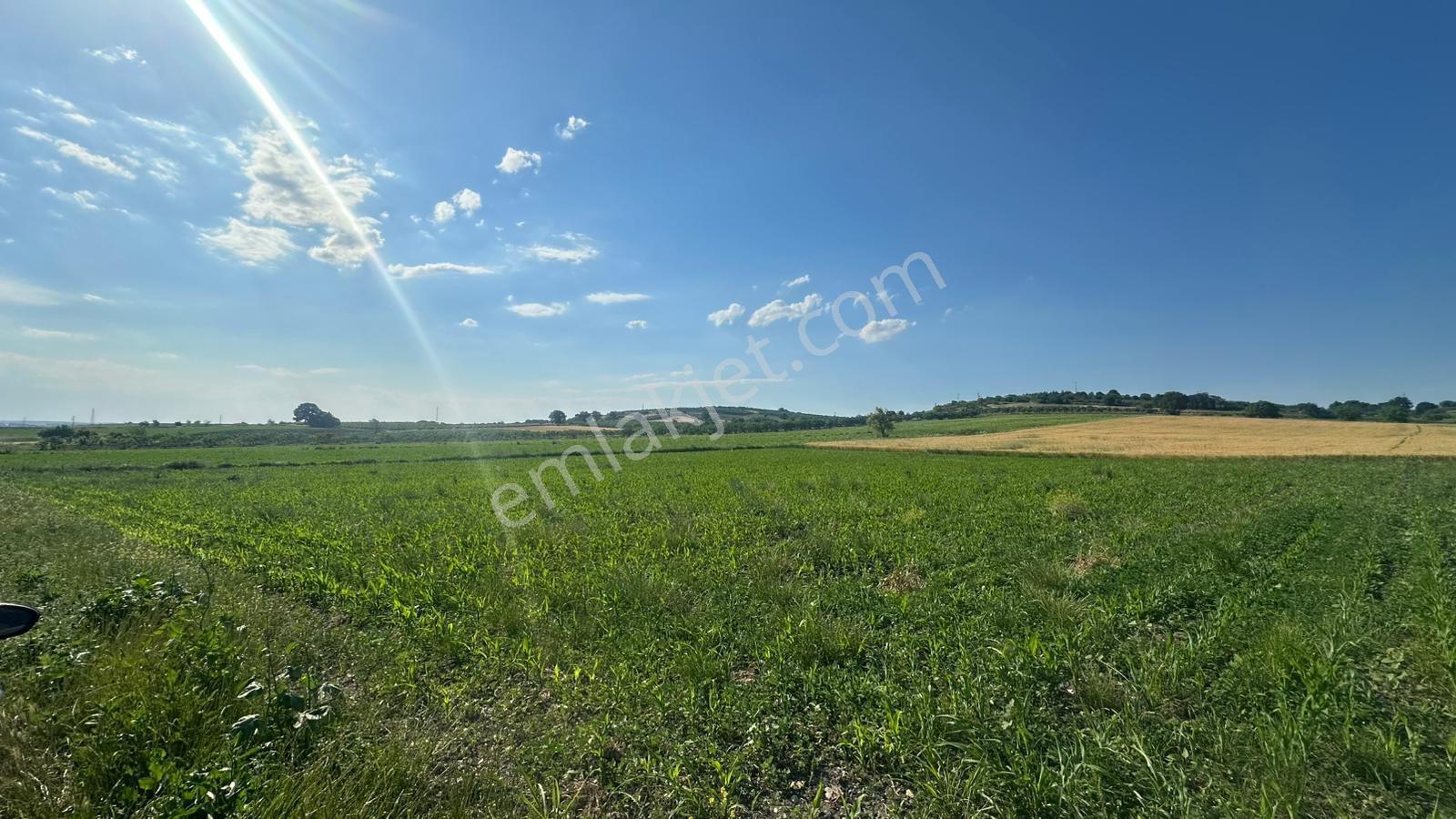 Bursa Mustafakemalpaşa Aliseydi Köyünde 2.678 M² Tarla — fotoğraf 3