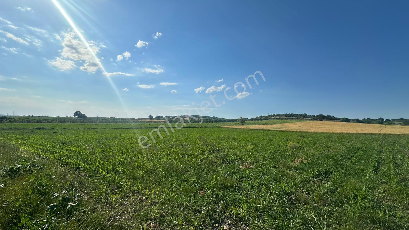Bursa Mustafakemalpaşa Aliseydi Köyünde 2.678 M² Tarla — fotoğraf 4