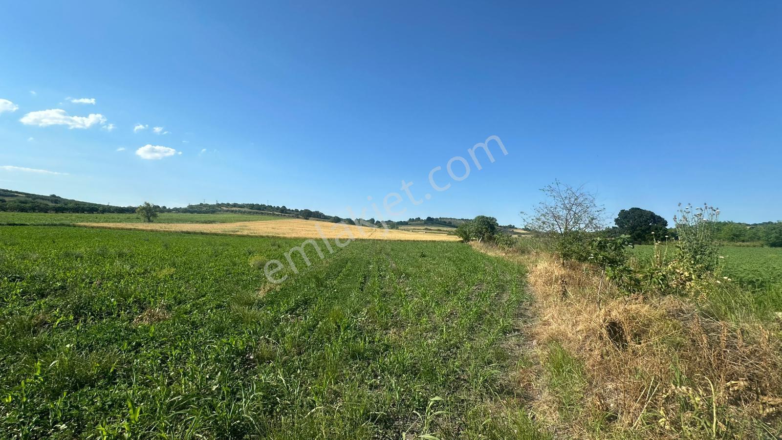 Bursa Mustafakemalpaşa Aliseydi Köyünde 2.678 M² Tarla — fotoğraf 7