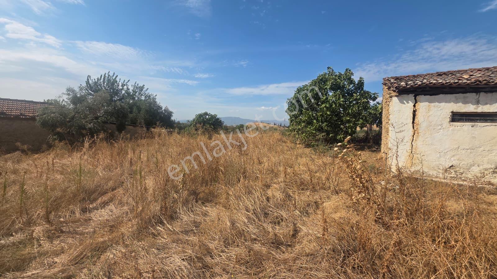 Köy Evi Ve Arazisi — fotoğraf 13