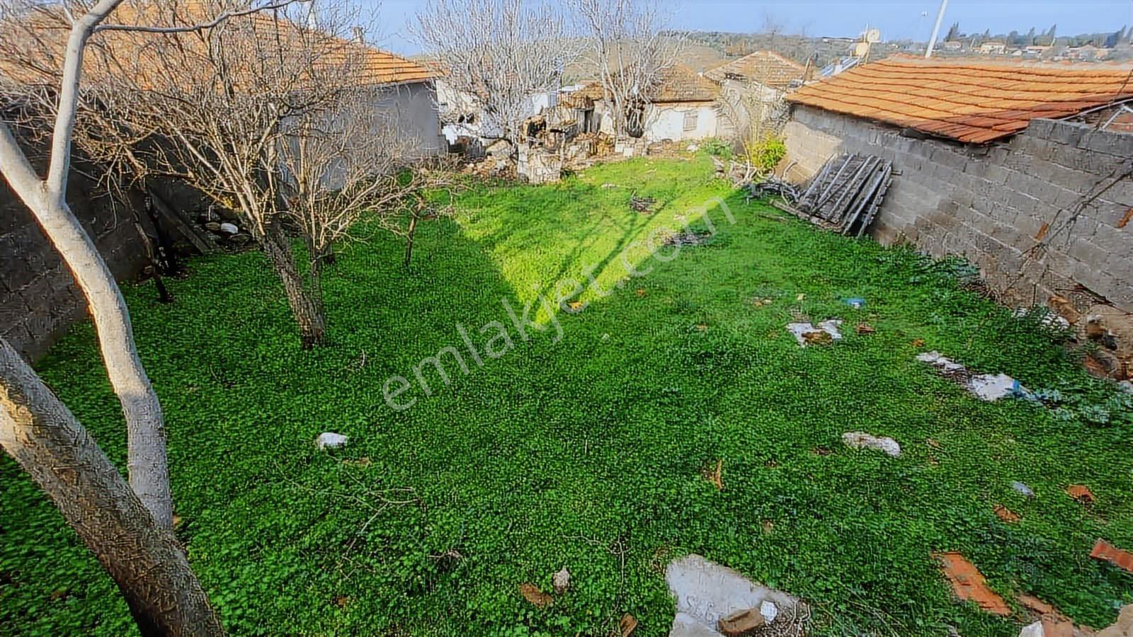 Sinirli Köyünde Elektrik Suyu Aktif Konut İmarlı Arsa — fotoğraf 5