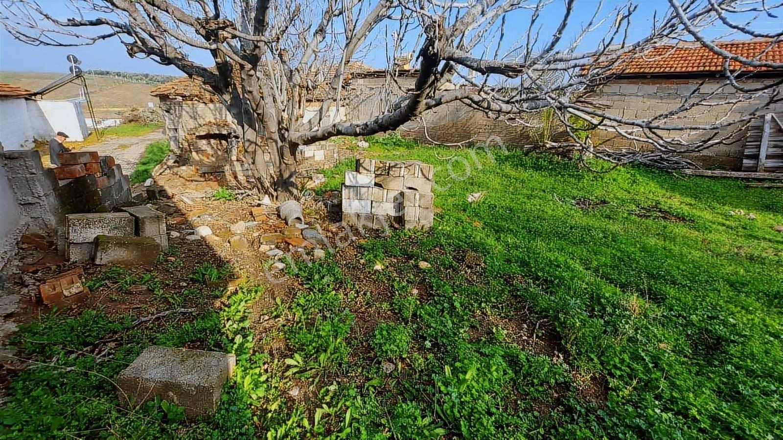 Sinirli Köyünde Elektrik Suyu Aktif Konut İmarlı Arsa — fotoğraf 8