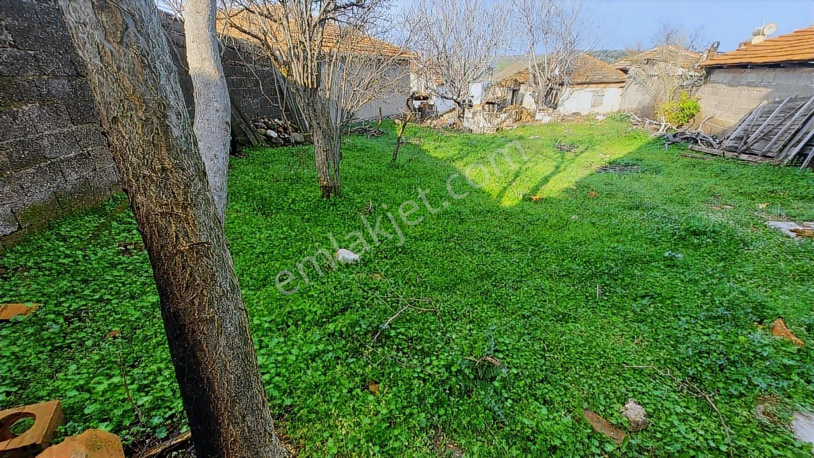 Sinirli Köyünde Elektrik Suyu Aktif Konut İmarlı Arsa — fotoğraf 9