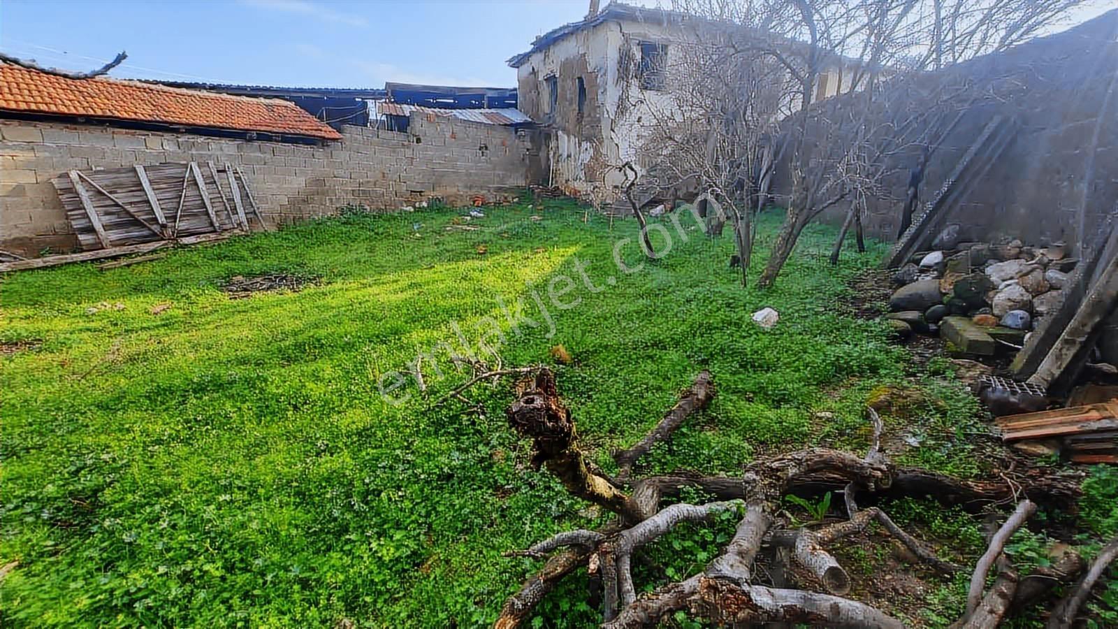 Sinirli Köyünde Elektrik Suyu Aktif Konut İmarlı Arsa — fotoğraf 10