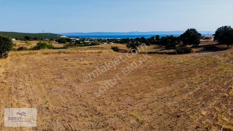 Mecidiye Sahilinde Kaçırılmayacak Yatırım Fırsatı — fotoğraf 3