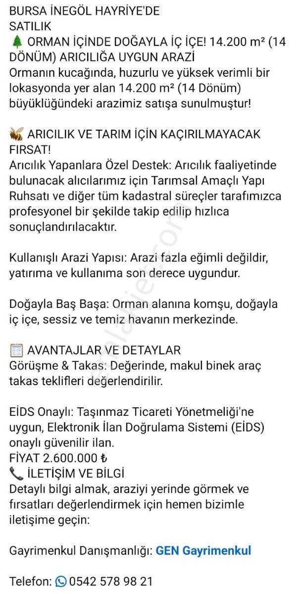 Bursa İnegöl Hayriye Ormanda Doğanın Kucağında Köye Yakın Arazi — fotoğraf 9