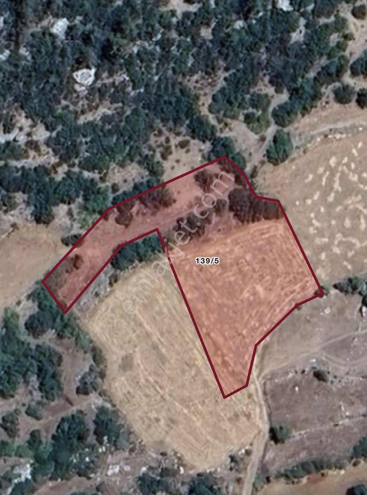 Muğla Menteşe Günlücede 2.075 M² Satılık Tarla