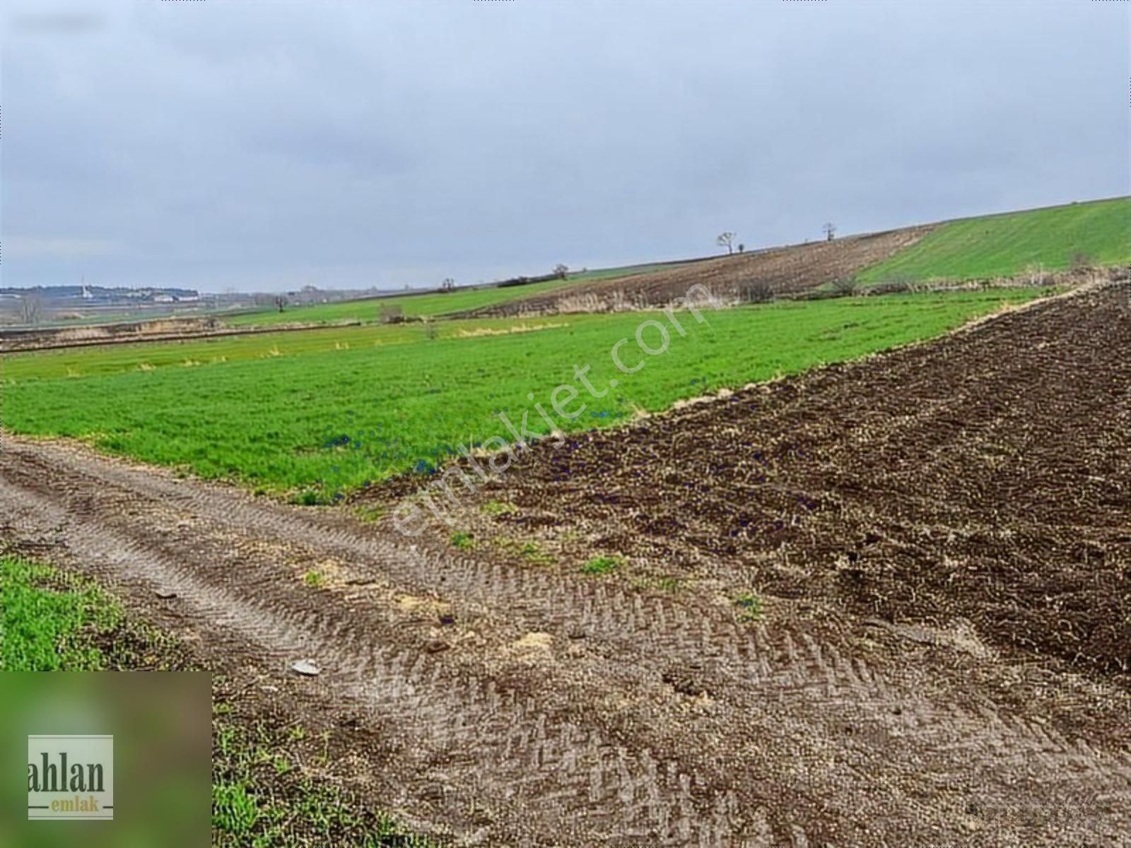 Şahlan Emlaktan Gebeçınar Da 4dönüm Sulması Olan Tarla — fotoğraf 2