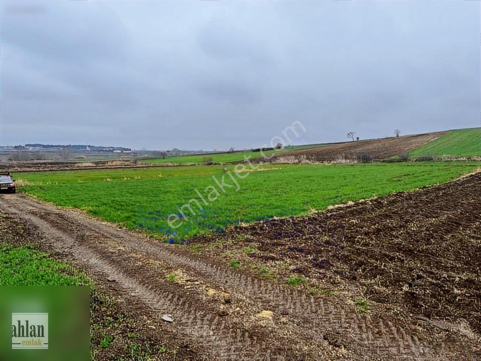 Şahlan Emlaktan Gebeçınar Da 4dönüm Sulması Olan Tarla — fotoğraf 5