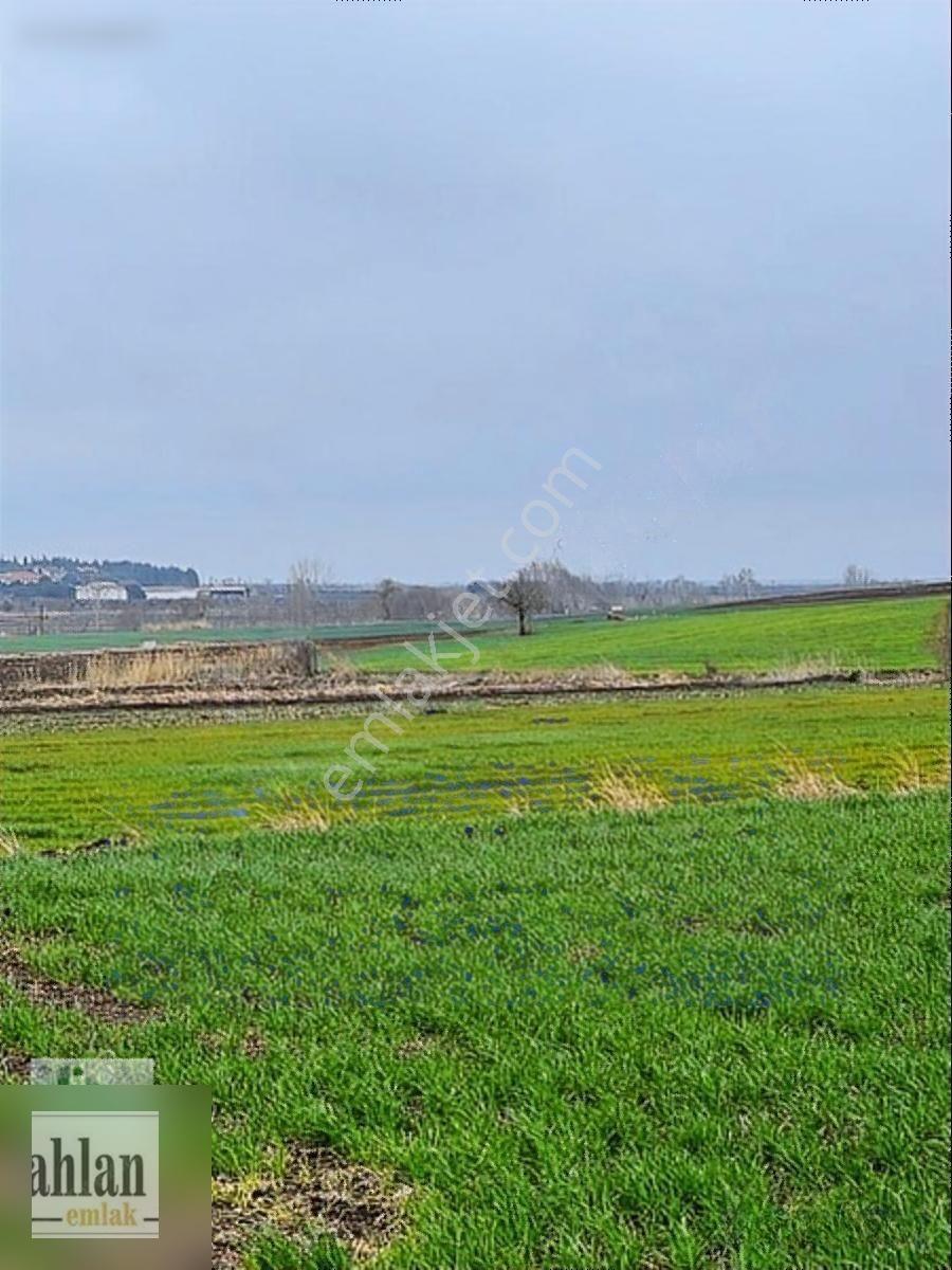 Şahlan Emlaktan Gebeçınar Da 4dönüm Sulması Olan Tarla — fotoğraf 8