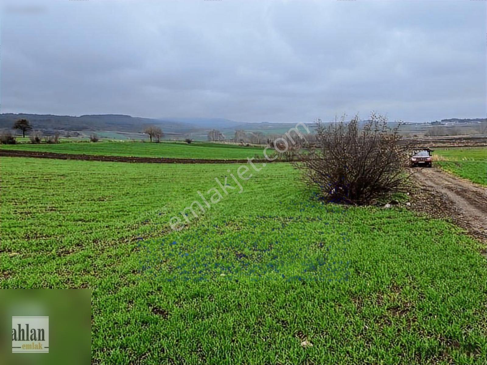 Şahlan Emlaktan Gebeçınar Da 4dönüm Sulması Olan Tarla — fotoğraf 10
