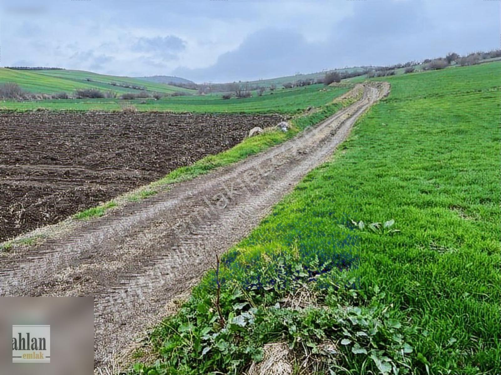 Şahlan Emlaktan Gebeçınar Da 4dönüm Sulması Olan Tarla — fotoğraf 15