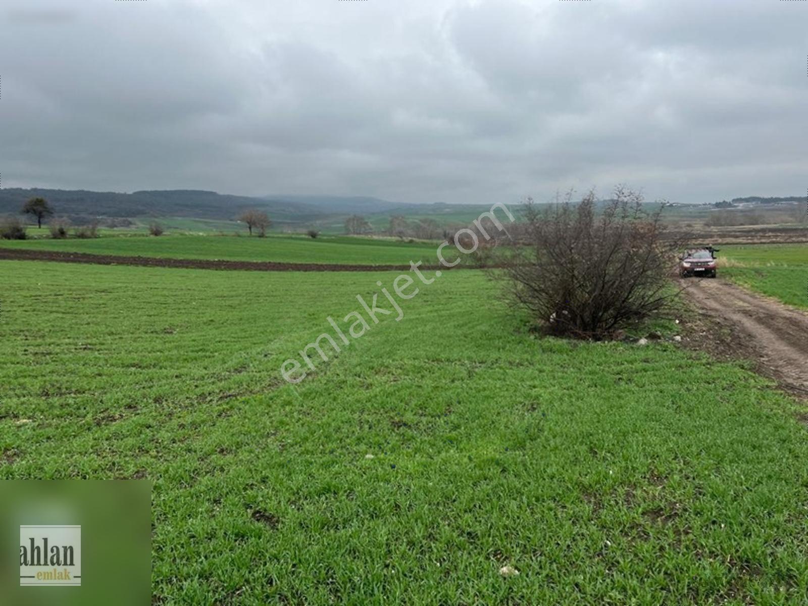 Şahlan Emlaktan Gebeçınar Da 4dönüm Sulması Olan Tarla — fotoğraf 20