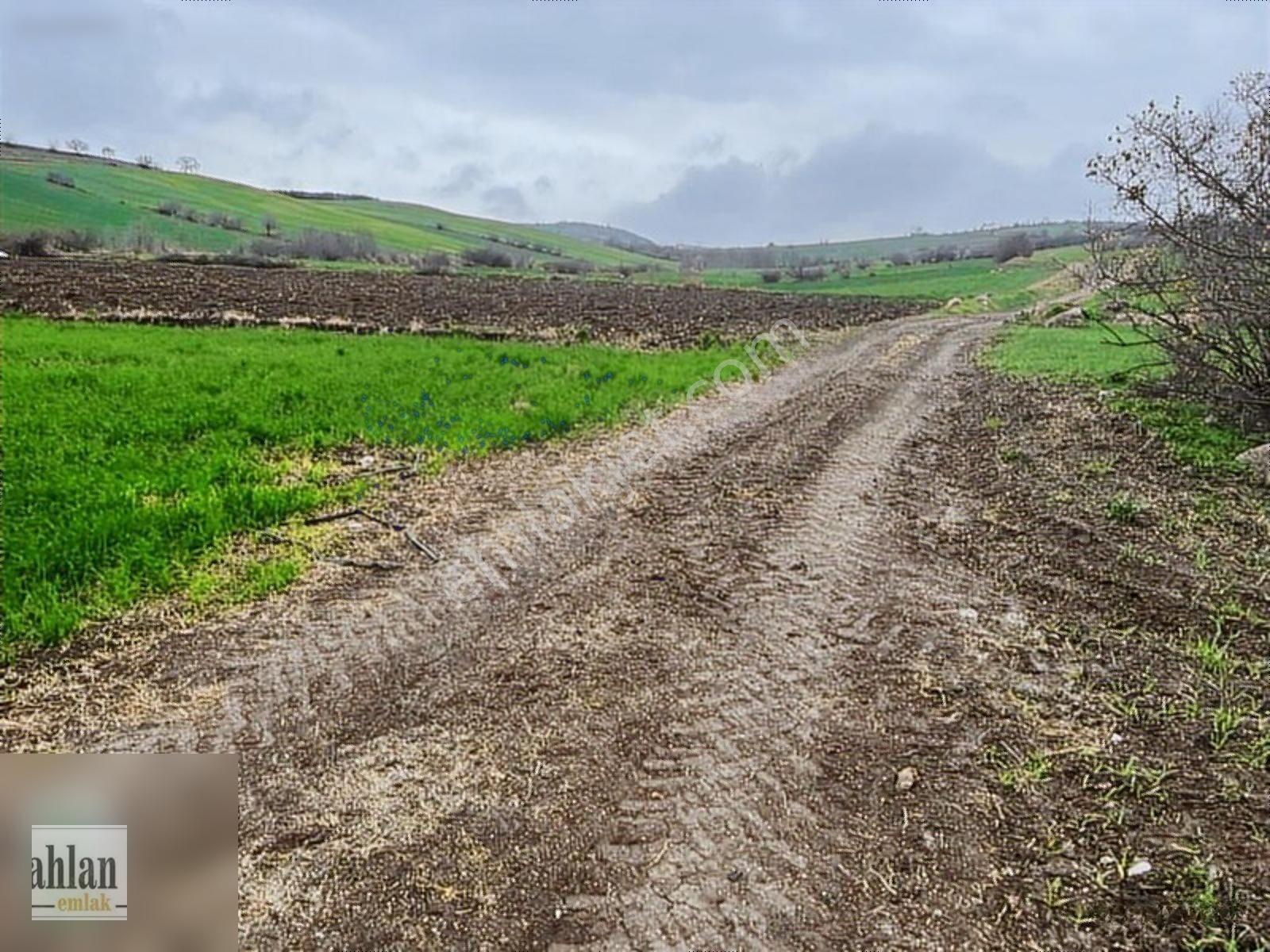 Şahlan Emlaktan Gebeçınar Da 4dönüm Sulması Olan Tarla — fotoğraf 22