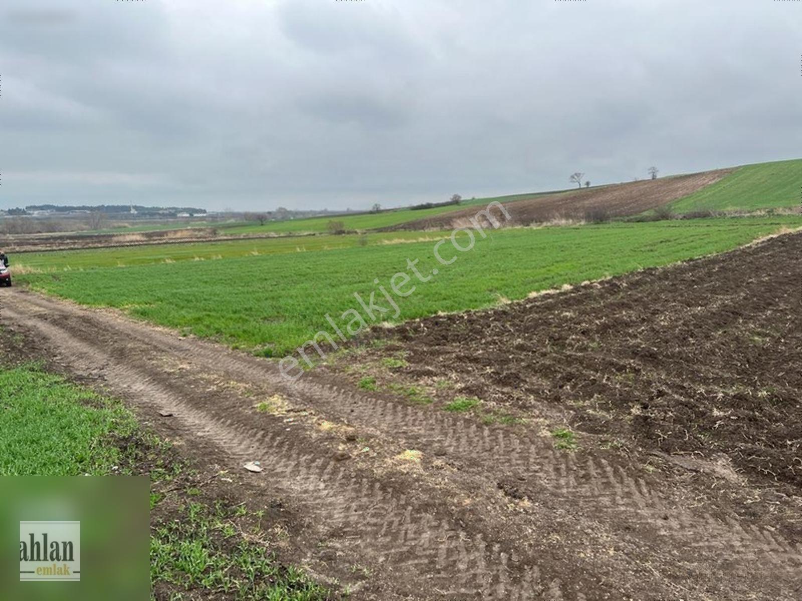 Şahlan Emlaktan Gebeçınar Da 4dönüm Sulması Olan Tarla — fotoğraf 30