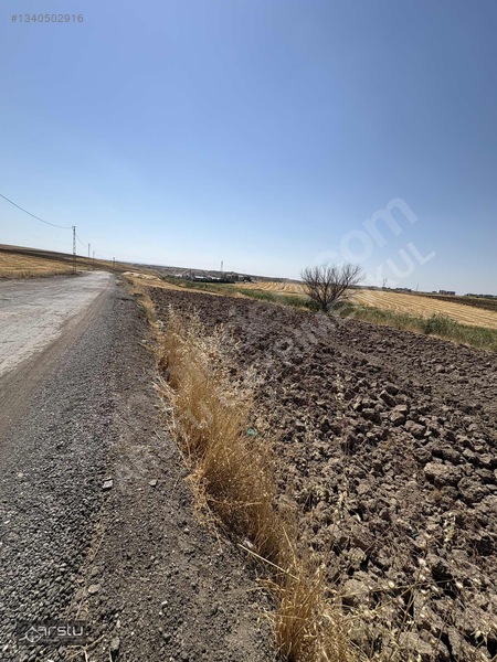 Arstu Gm Emrecan'dan Feleket Te Satılık Müstakıl Tapulu Arazi — fotoğraf 14