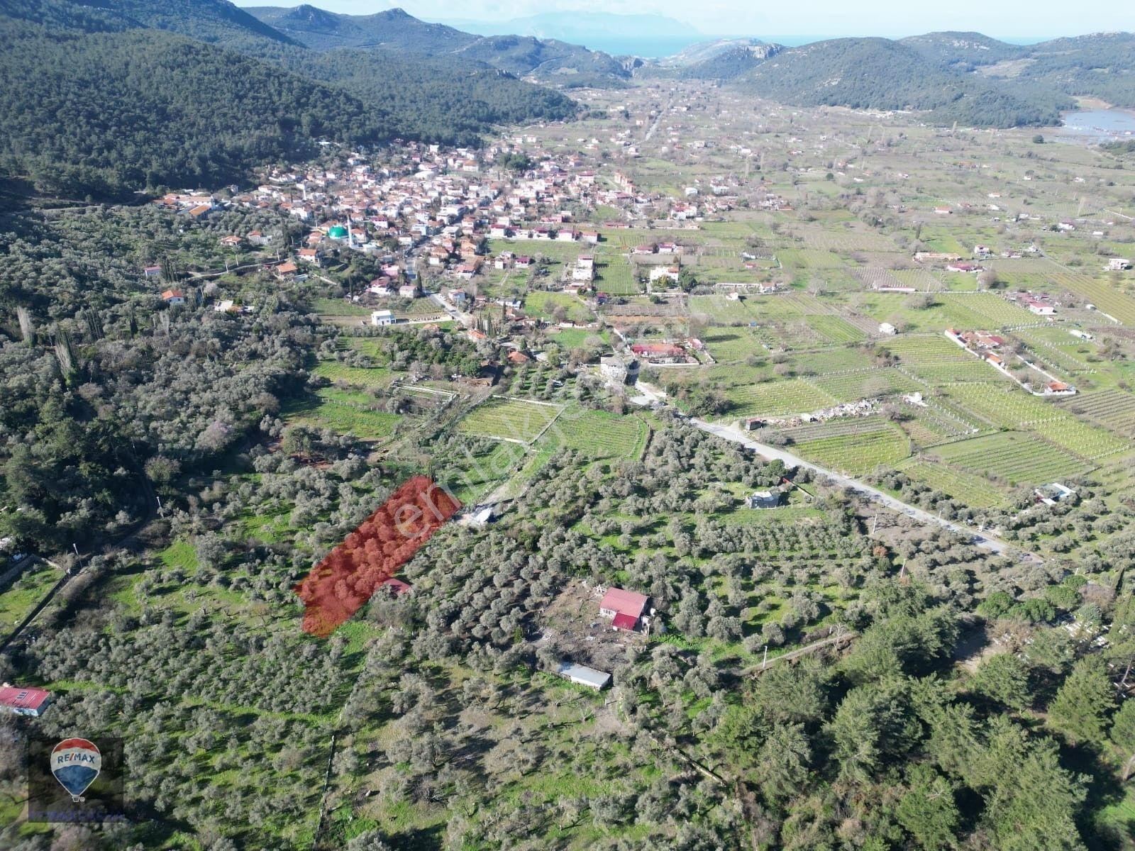 Kuşadası Kirazlıda Fırsat Bahçe — fotoğraf 4